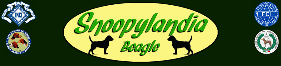 Snoopylandia Beagle Logo